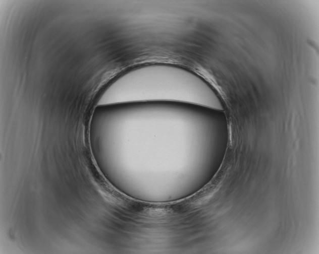 X0000096150205200801180836