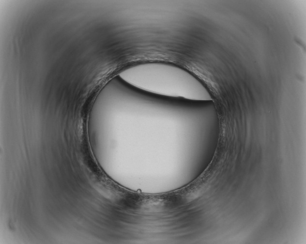 X0000096150206200801180836