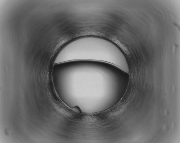 X0000096150207200801180836