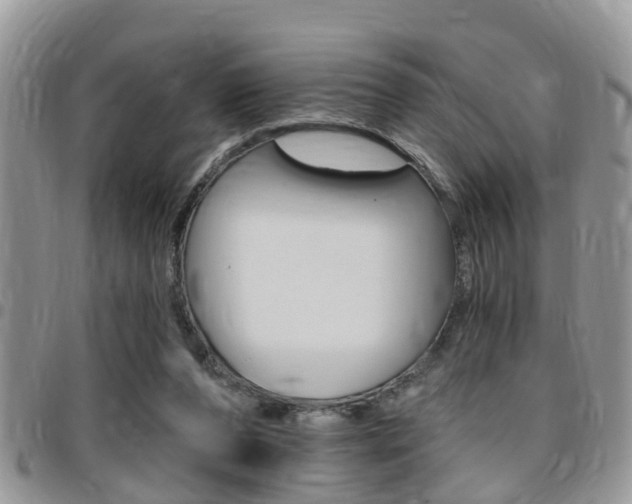 X0000096150208200801180836