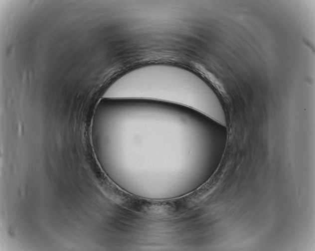 X0000096150209200801180836
