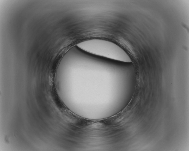 X0000096150210200801180836