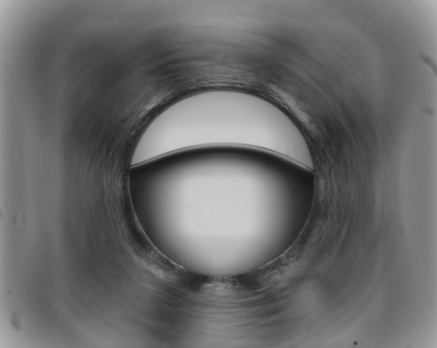 X0000096150211200801180836