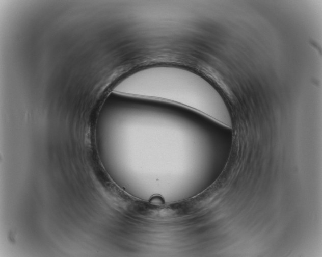 X0000096150212200801180836