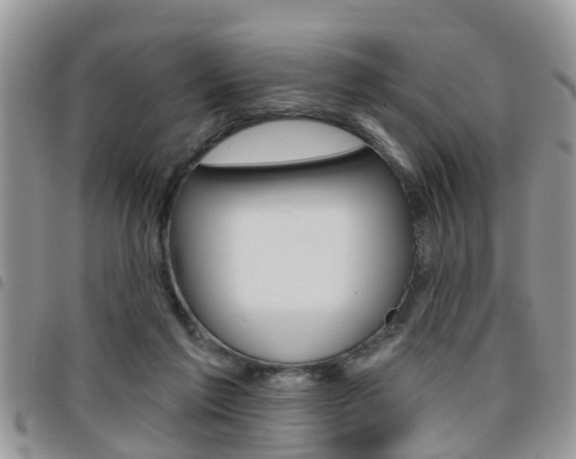 X0000096150213200801180836