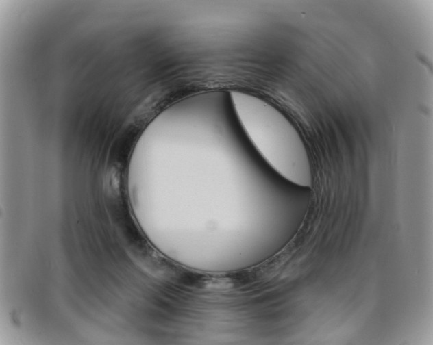 X0000096150214200801180836