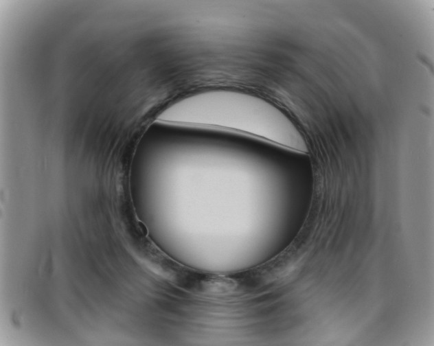 X0000096150215200801180836
