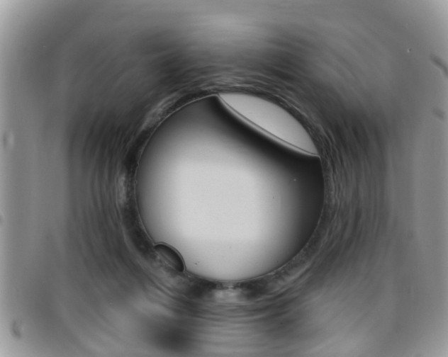 X0000096150216200801180836