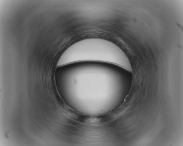 X0000096150217200801180836