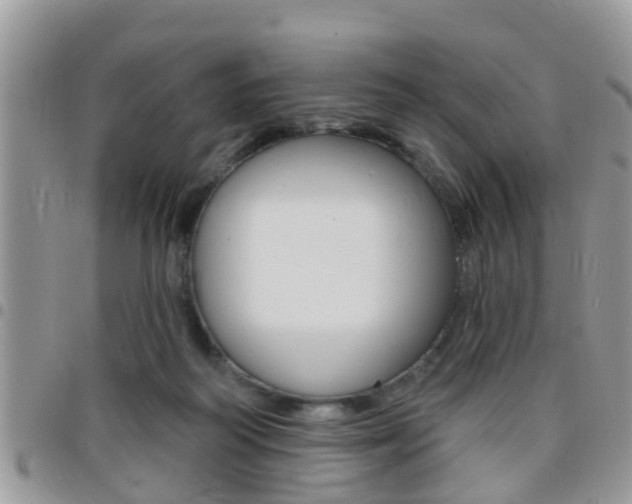 X0000096150218200801180836