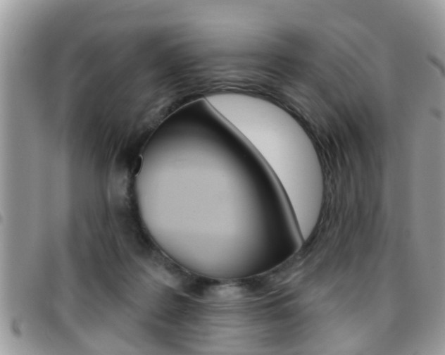 X0000096150219200801180836