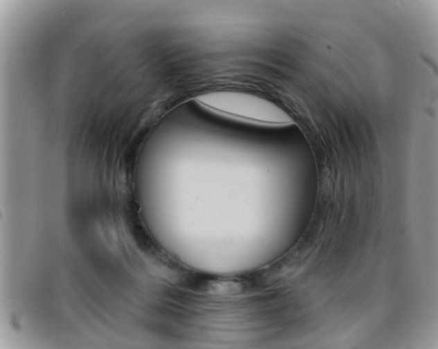 X0000096150220200801180836