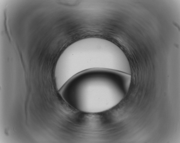 X0000096150221200801180836