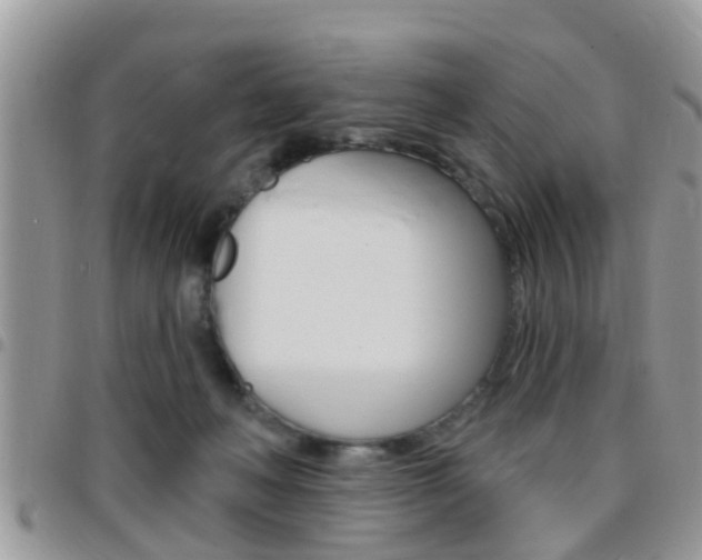 X0000096150222200801180836