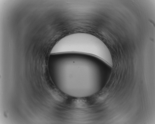 X0000096150223200801180836