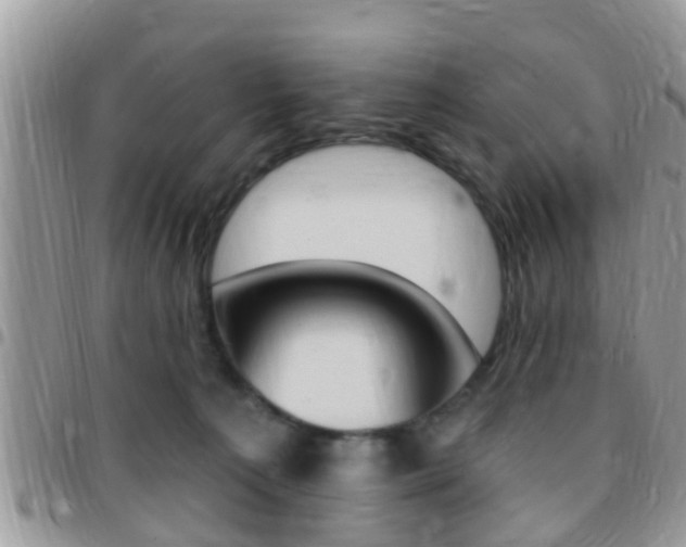 X0000096150225200801180836