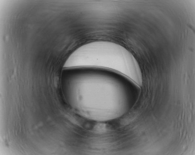 X0000096150227200801180836