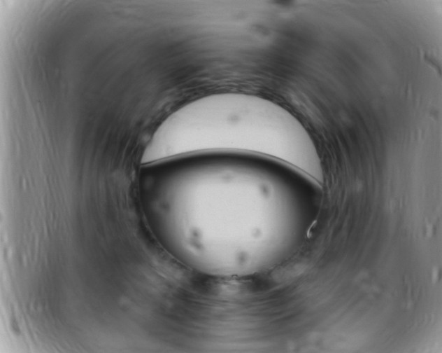 X0000096150229200801180836