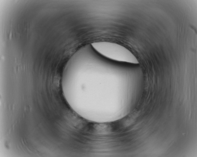 X0000096150230200801180836