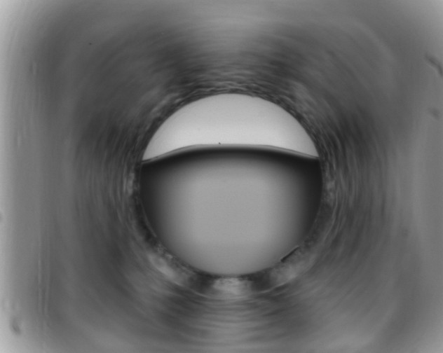 X0000096150231200801180836