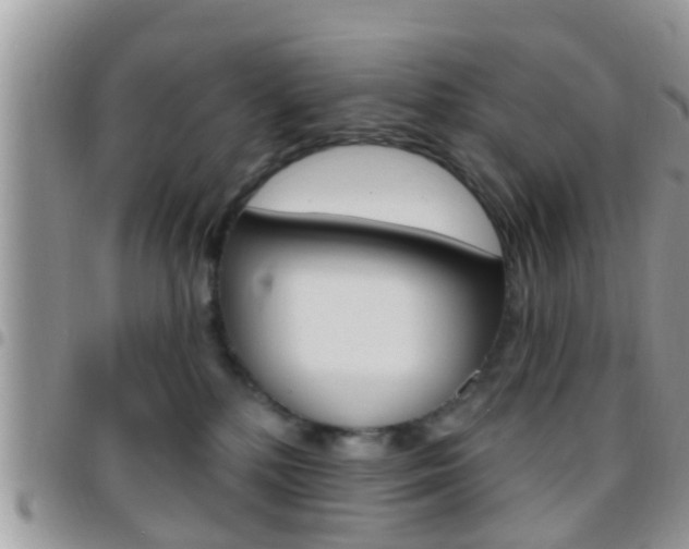 X0000096150232200801180836