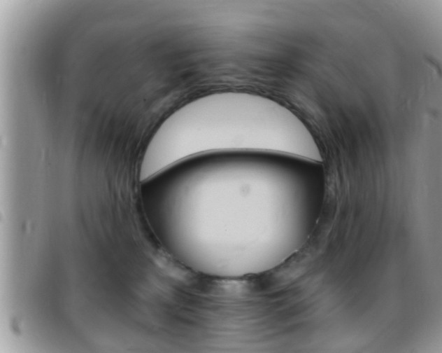 X0000096150233200801180836