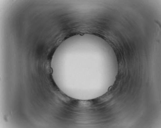 X0000096150234200801180836