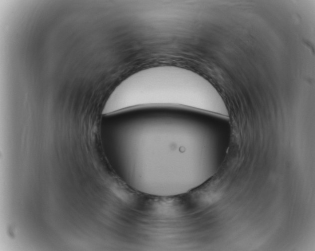 X0000096150235200801180836