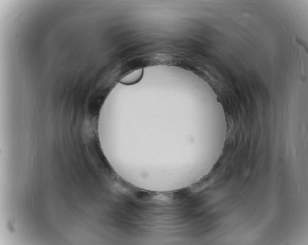 X0000096150236200801180836