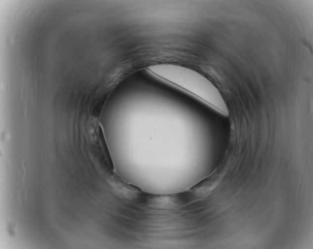 X0000096150237200801180836