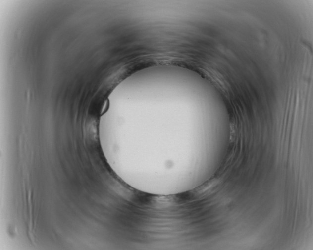 X0000096150238200801180836