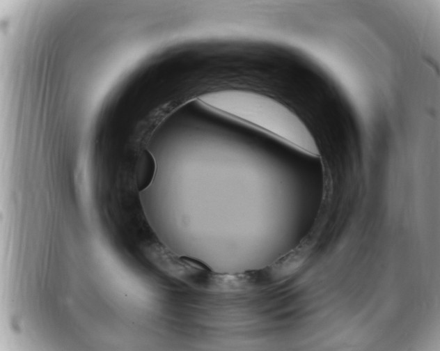 X0000096150239200801180836