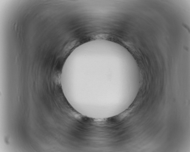 X0000096150240200801180836