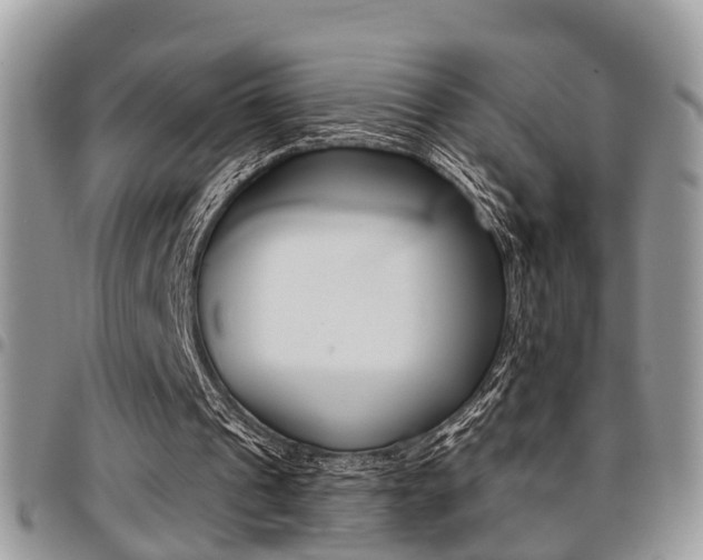 X0000096150241200801180835