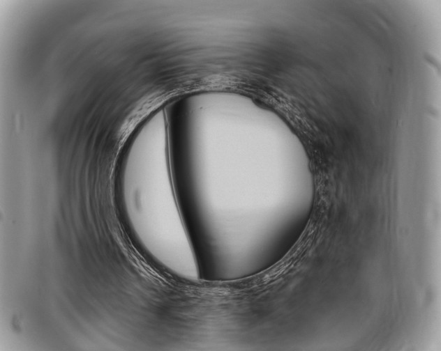 X0000096150242200801180835