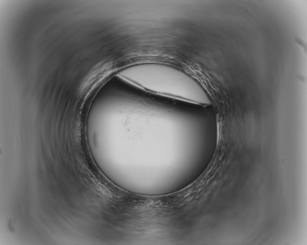 X0000096150243200801180835
