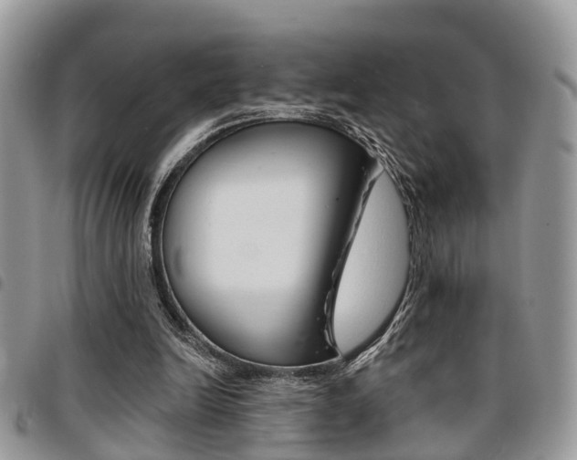 X0000096150246200801180835