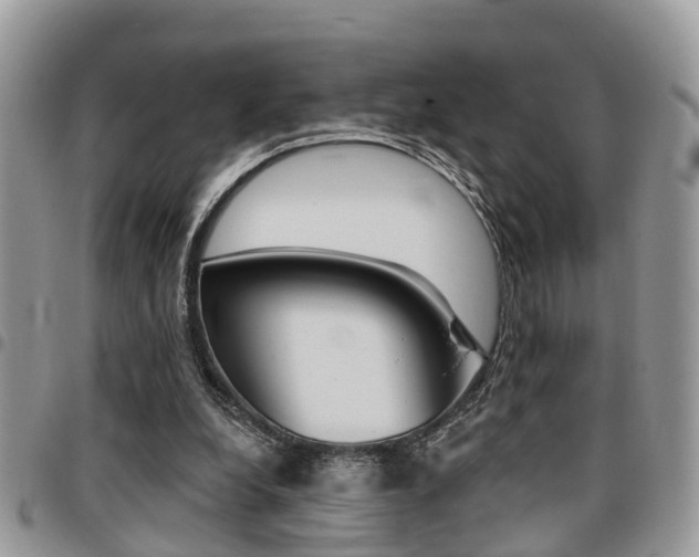 X0000096150248200801180835