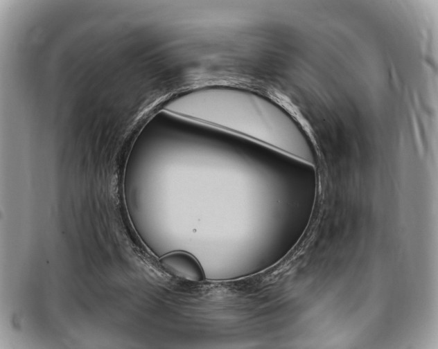 X0000096150249200801180835