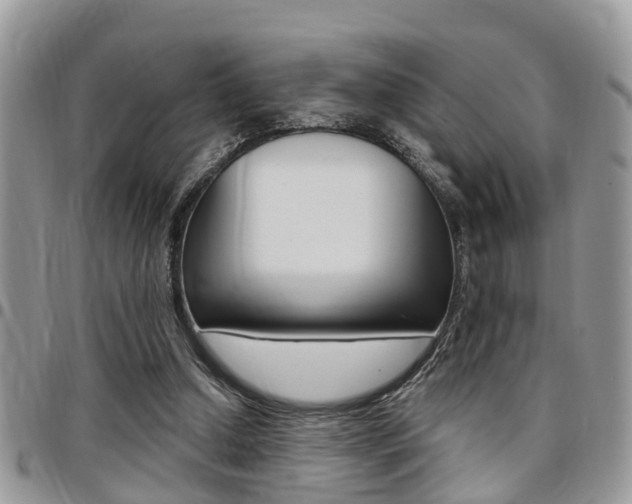 X0000096150250200801180835