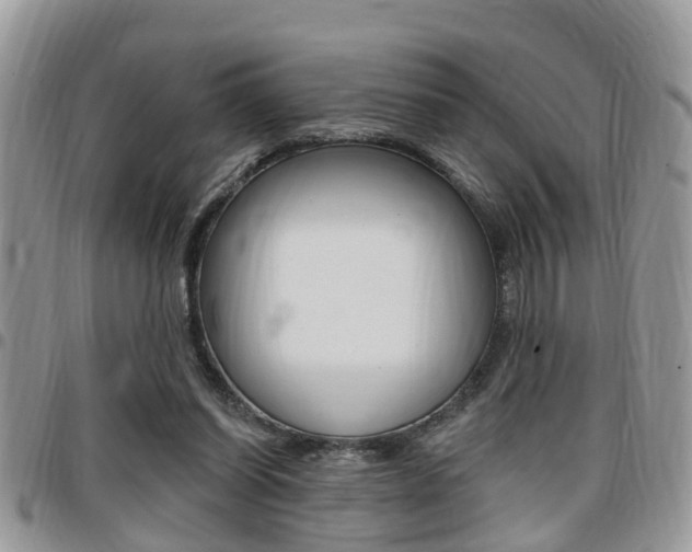 X0000096150254200801180836