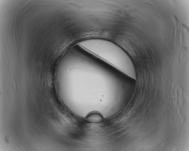 X0000096150255200801180836