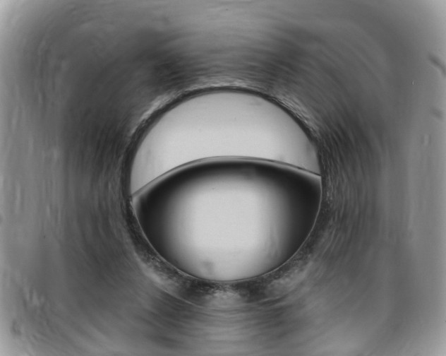 X0000096150256200801180836