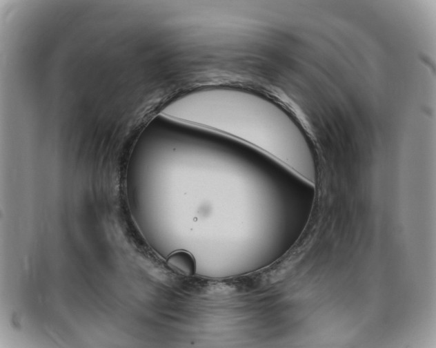 X0000096150257200801180836