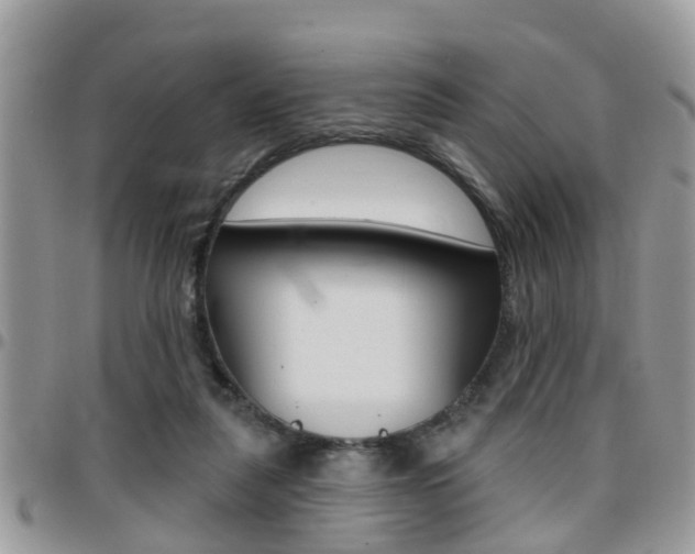 X0000096150259200801180836