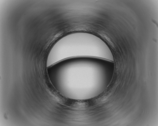 X0000096150260200801180836