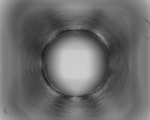 X0000096150261200801180836