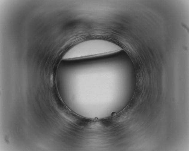 X0000096150262200801180836