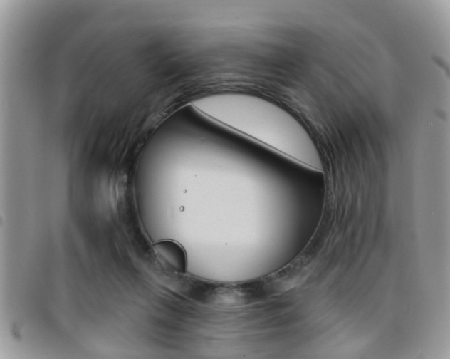 X0000096150263200801180836