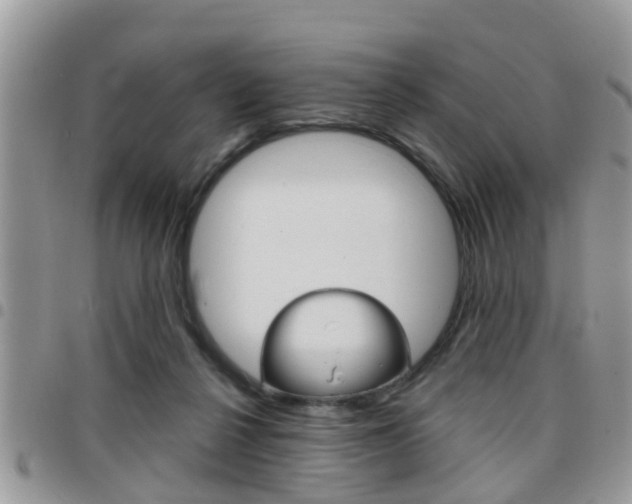 X0000096150264200801180836